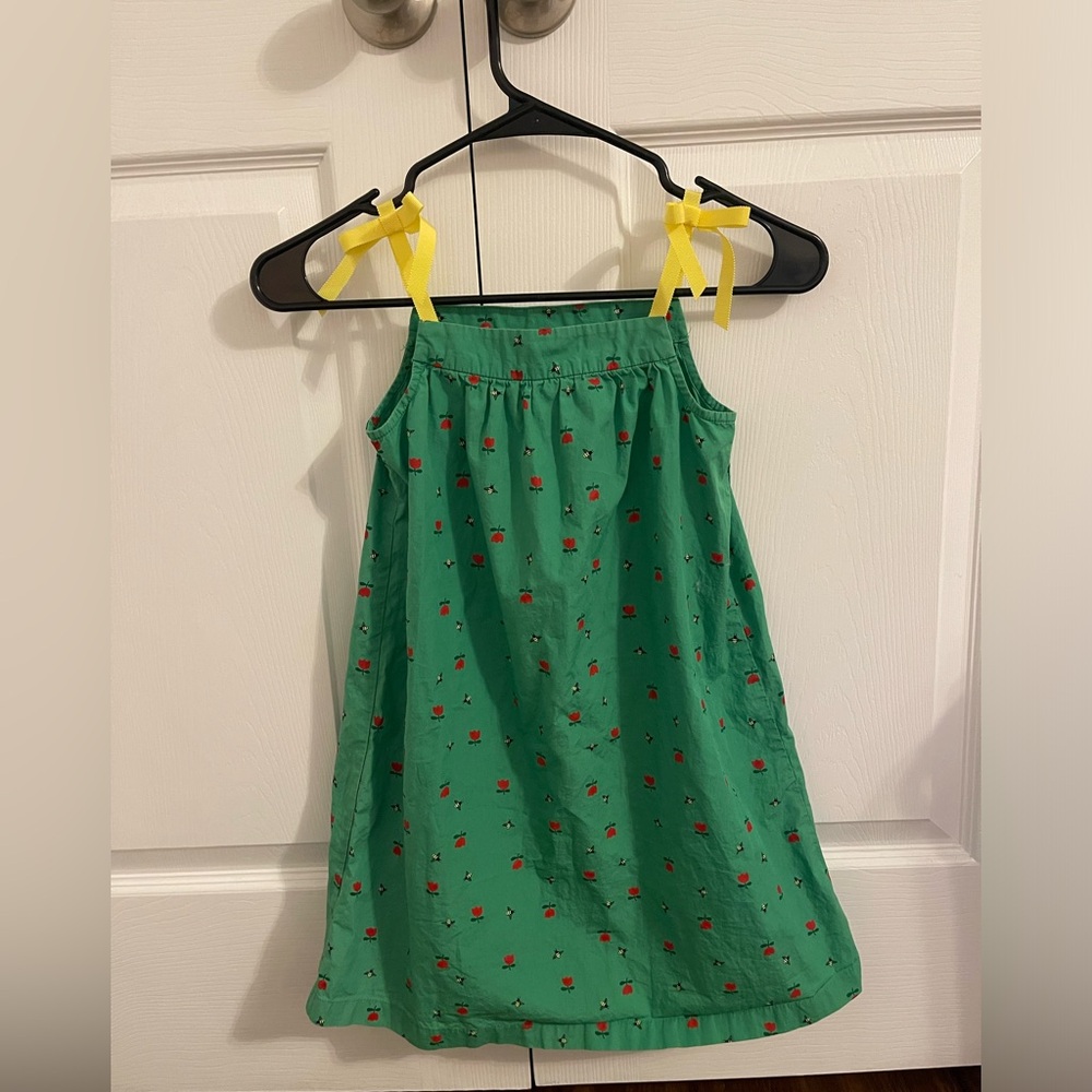 Hanna Andersson Green Tulip & Bee Dress, Girls Size 120